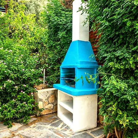 Kirlangic Villa *